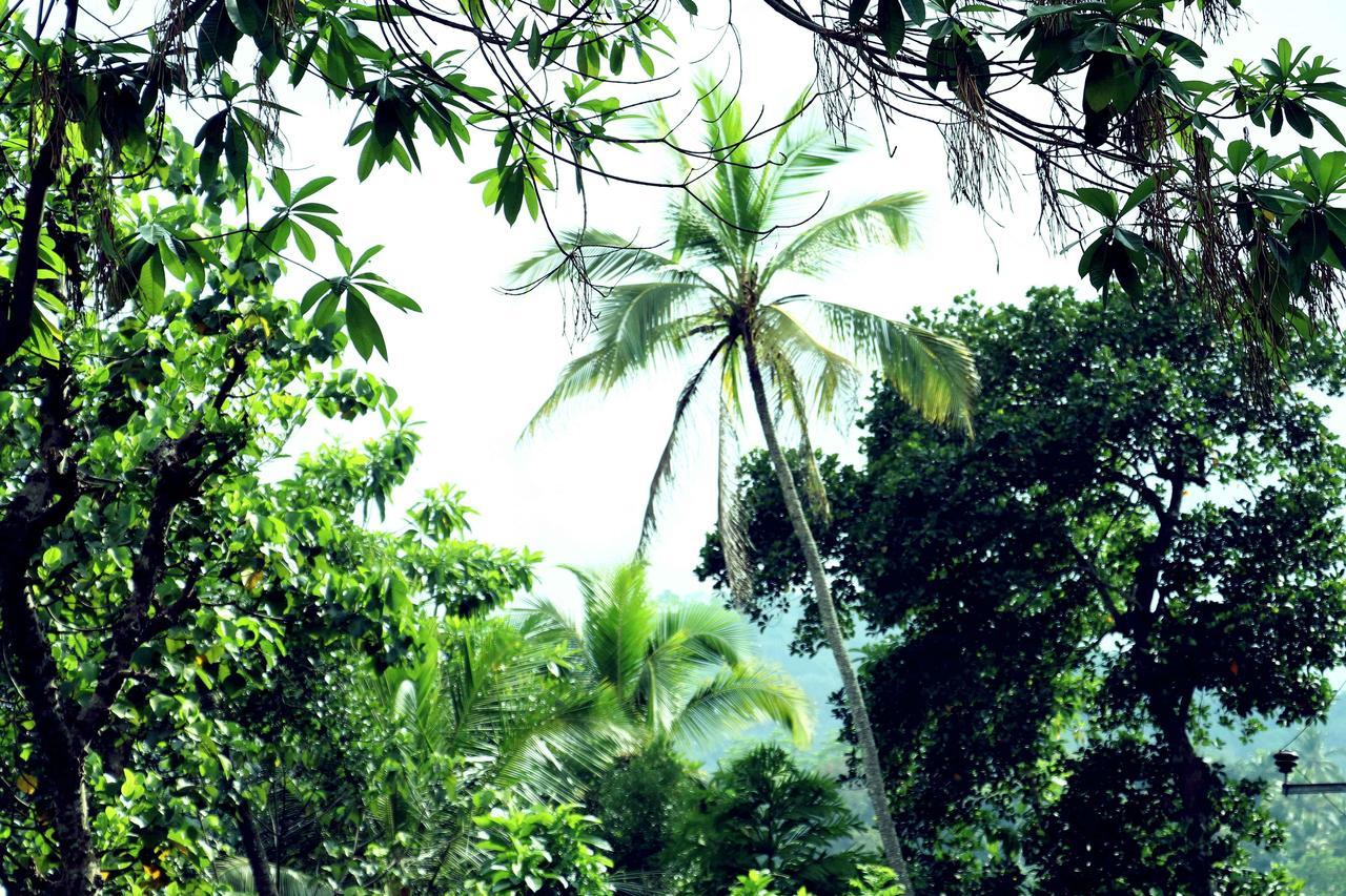 Villa Royce Kandy Esterno foto