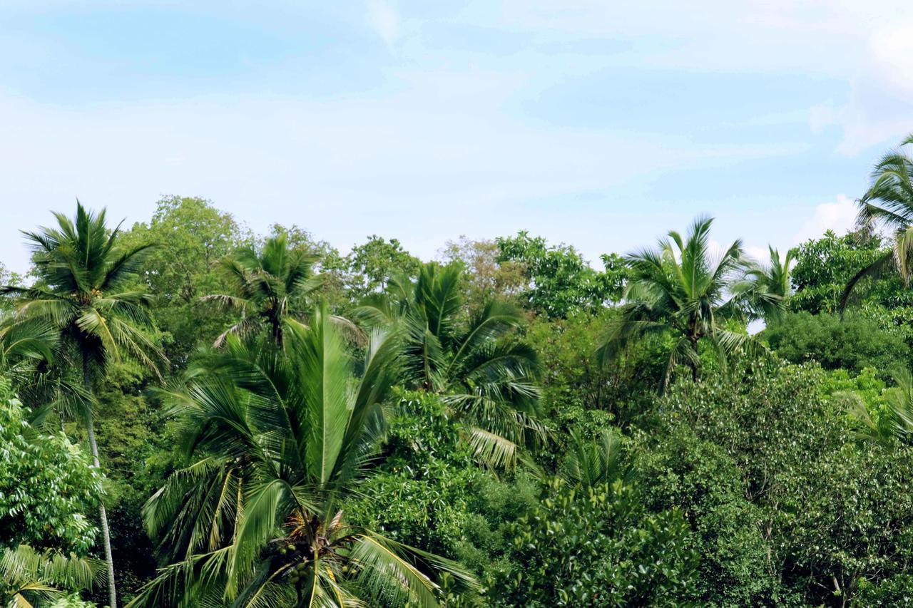 Villa Royce Kandy Esterno foto