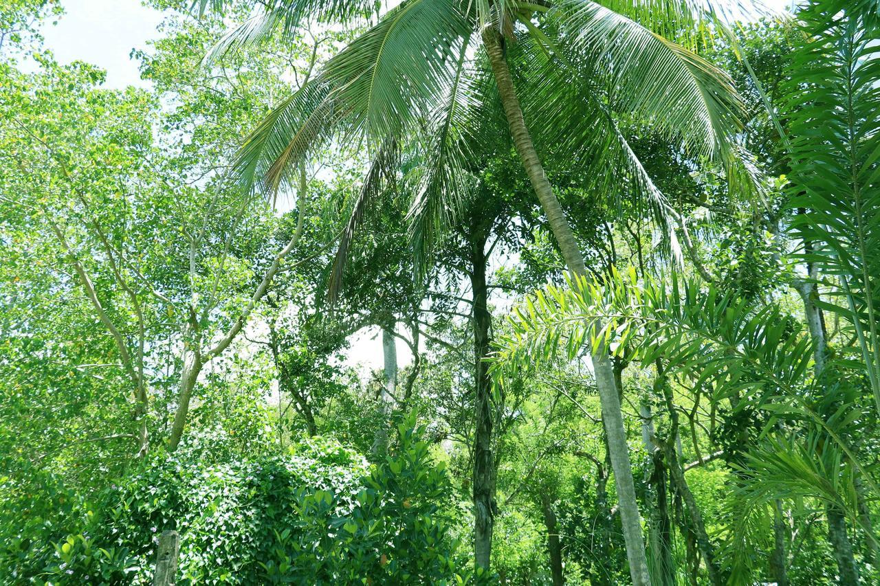Villa Royce Kandy Esterno foto